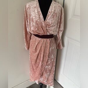 Eva Mendes for New York & Company Pink Velvet Long Sleeve Dress